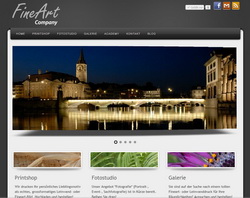 fineartcompany.ch